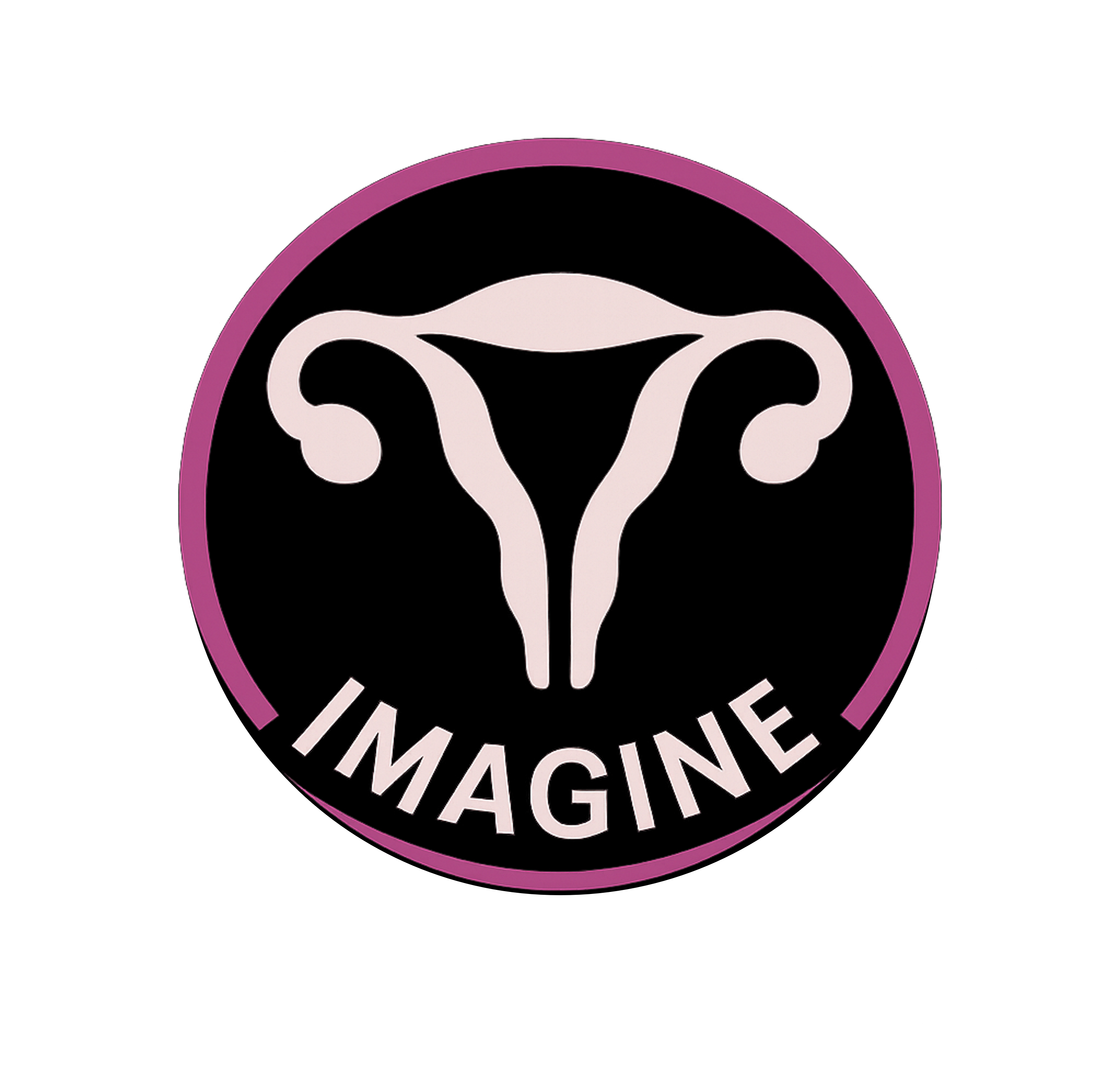 Logo de IMAGINE
